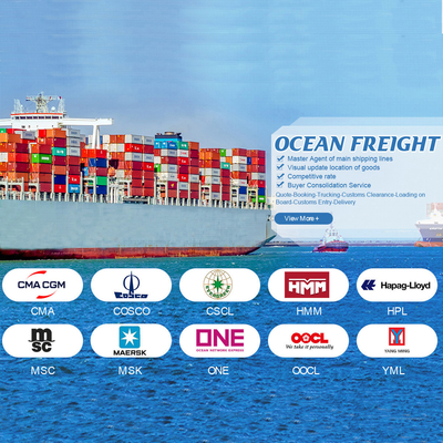 OOG BBK 40ft কনটেইনার আন্তর্জাতিক সমুদ্র পরিবহন চীন থেকে জর্ডান সাধারণ কার্গো জন্য